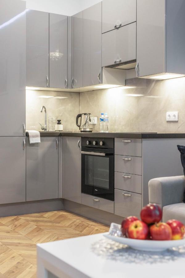 Apartament Srebrny Apartment Grudziadz Bagian luar foto